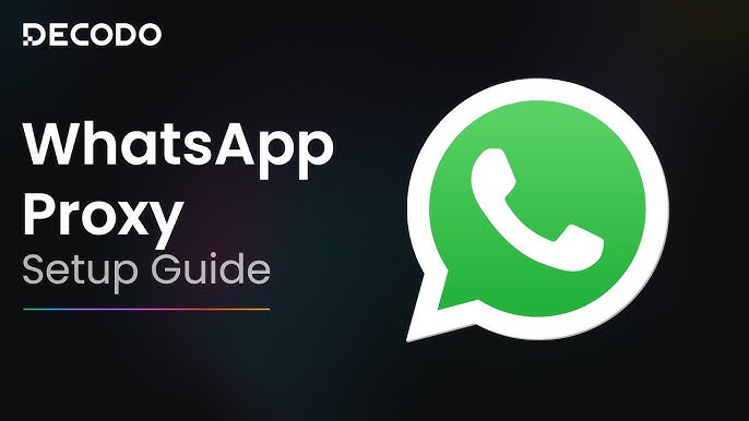 How to vote on WhatsApp